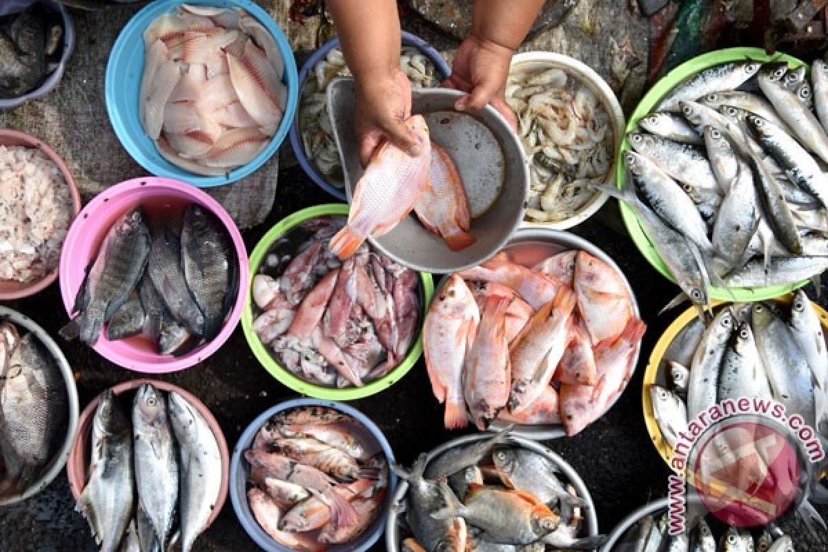 Konsumsi ikan nasional capai 43 persen