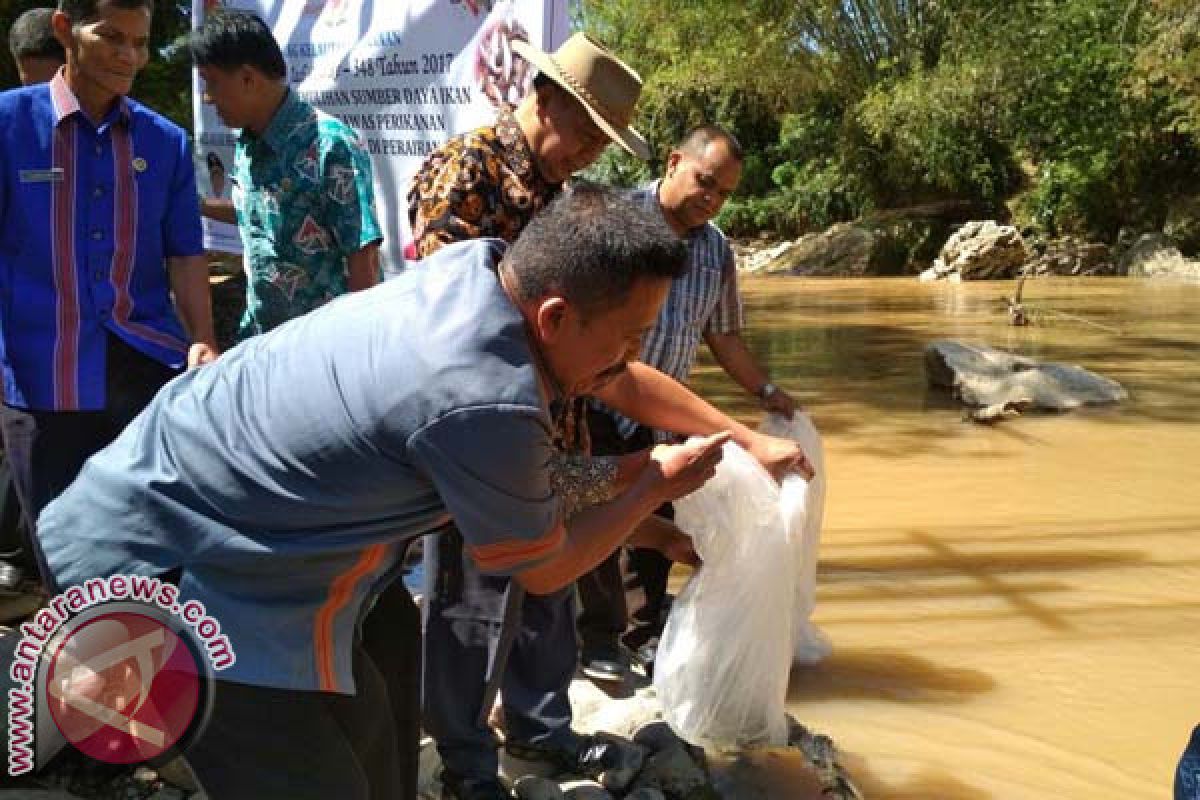 Pemkab Toraja Utara Tebar Bibit Ikan Nila