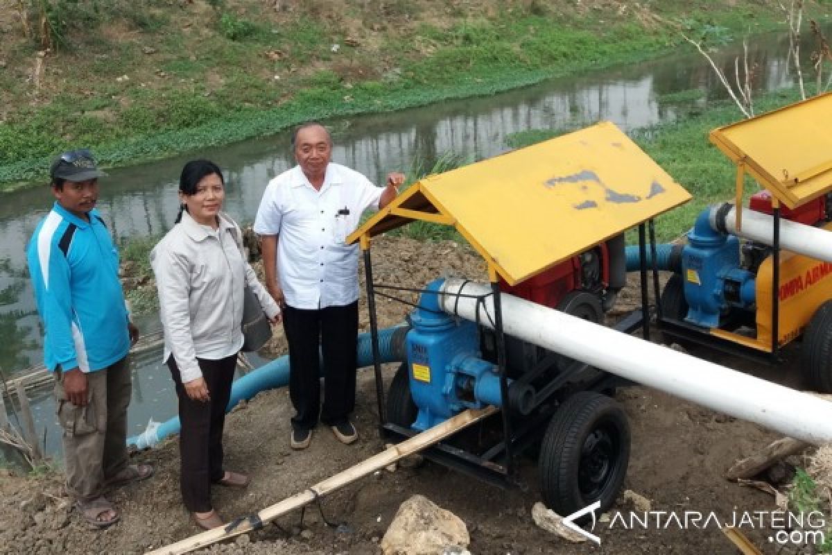 Petani Kudus diminta kembalikan alat pertanian yang tidak dipakai