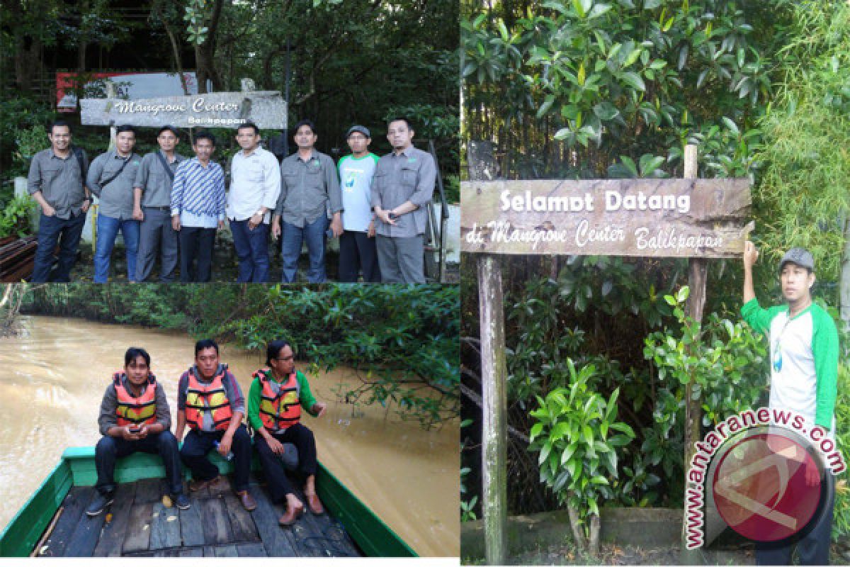 Agus Tujuh Tahun Berjibaku Merawat Mangrove