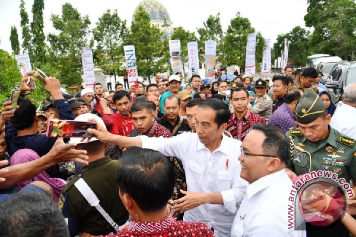 Presiden Jokowi mulai peremajaan kelapa sawit Sumsel