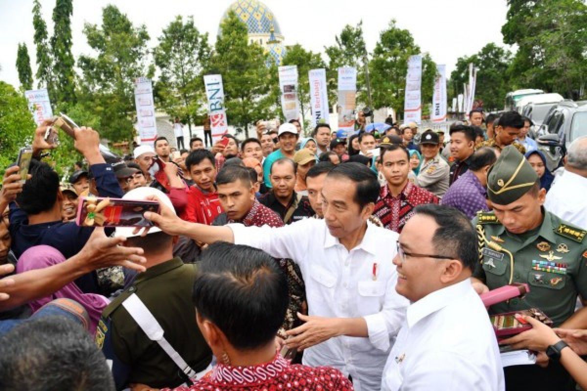 Presiden Jokowi Mulai Peremajaan Kelapa Sawit Sumsel