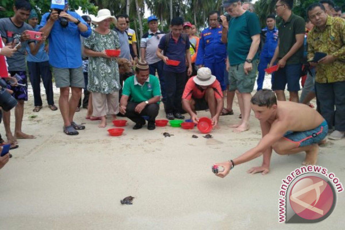 Yachter Lepas Tukik di Pulau Ketawai