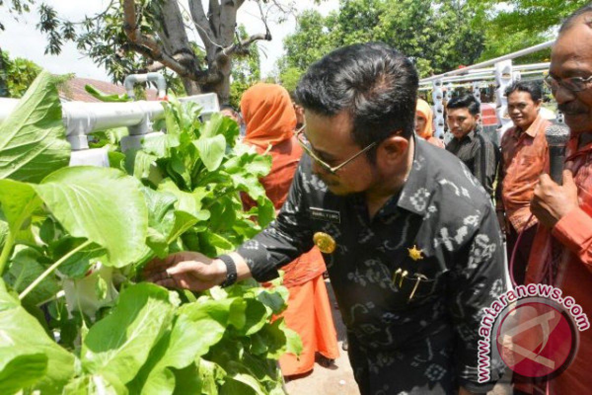 Gubernur Tanam Selada Bersama Siswa SMA 10 Makassar