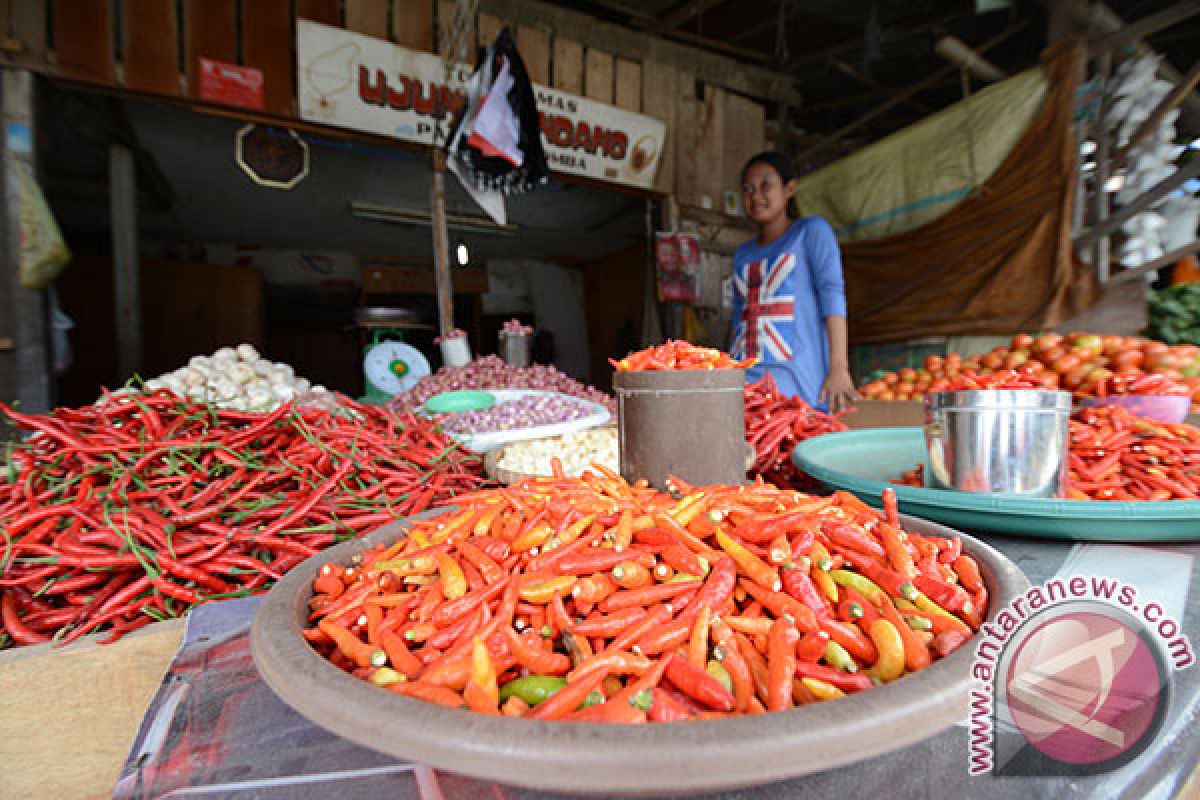 Bulog diminta operasi pasar guna tekan harga cabai