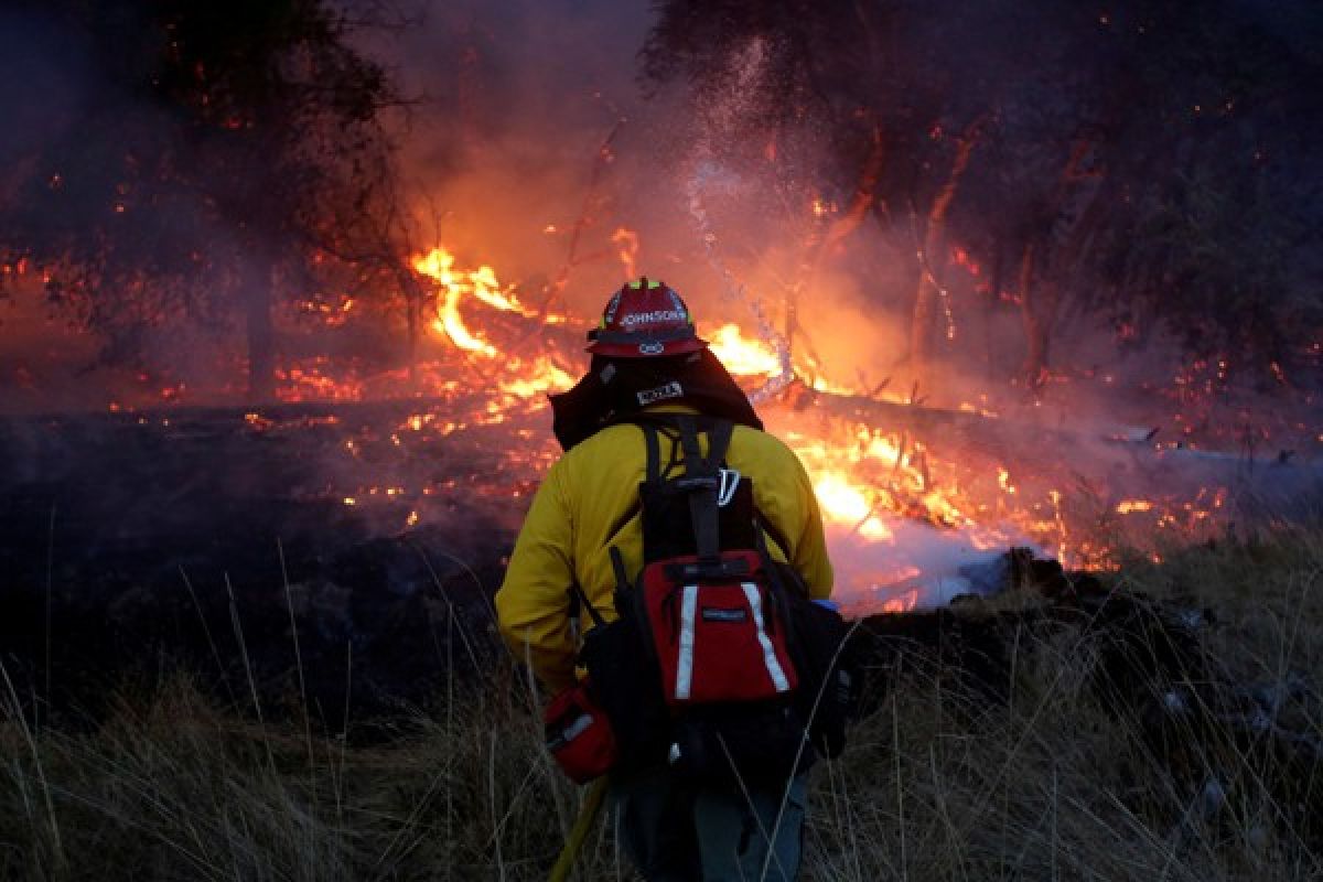 Korban jiwa akibat kebakaran hutan California tambah jadi 40