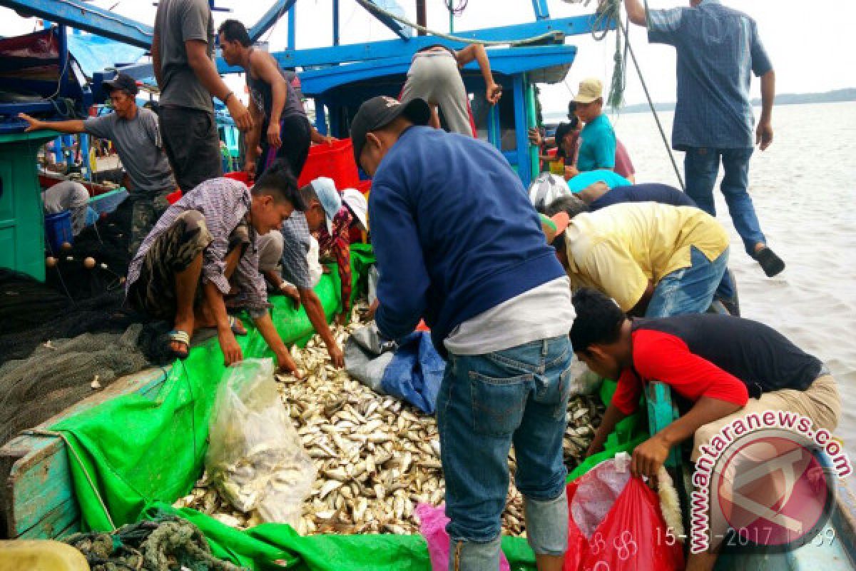 Nelayan Obral Ikan Kembung di Kayong Utara