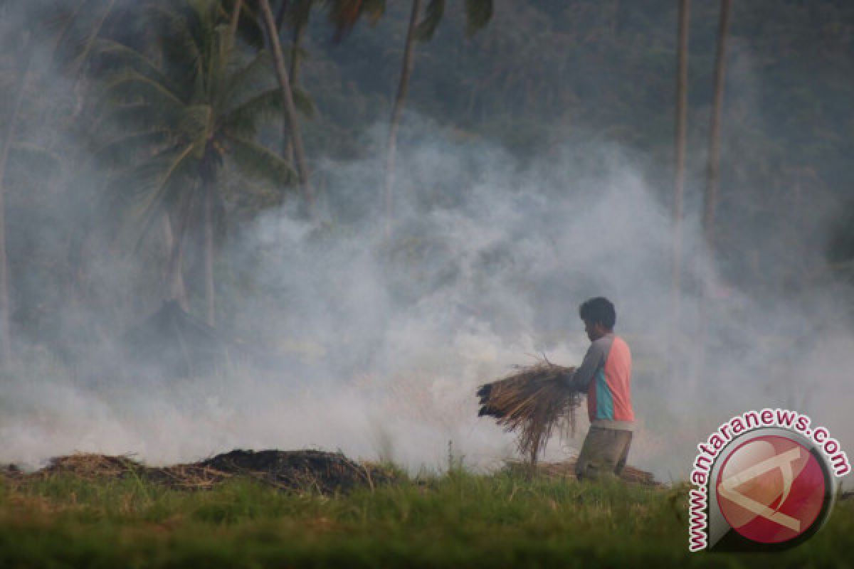 Jangan bakar sisa panen