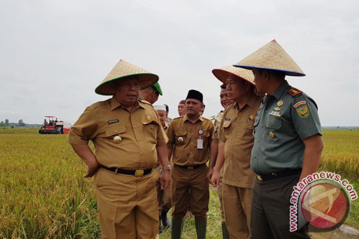 Tanjabbar fungsikan lahan sawit jadi pertanian 