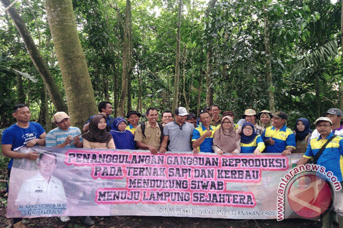 Mahasiswa STPP Bogor Dampingi Peternak Lampung Selatan