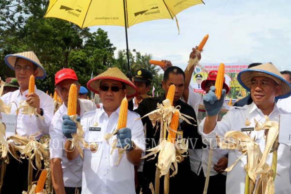 Sulbar Bantu Bibit Ke Petani Polewali Mandar 