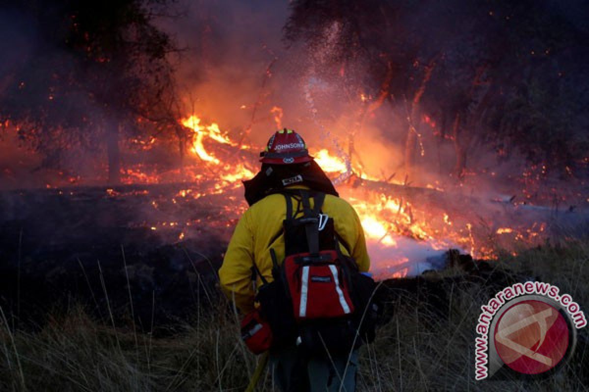 Kebakaran hutan dan lahan meluas di Aceh Barat