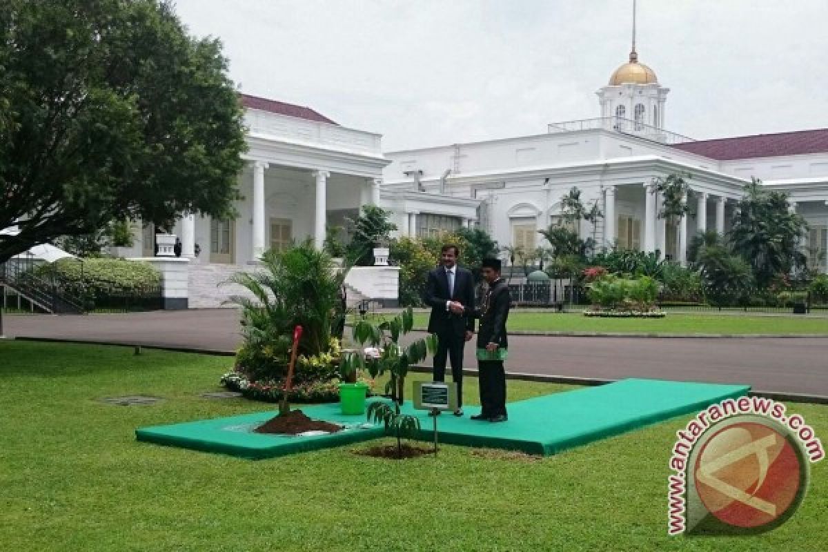 Indonesia-Qatar bentuk tim kerja tindak lanjuti kerja sama