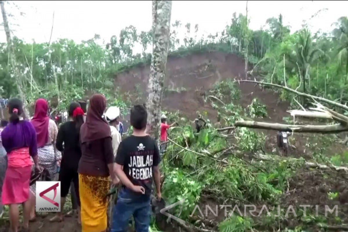 (Video) Longsor Timbun Tiga Warga di Jember