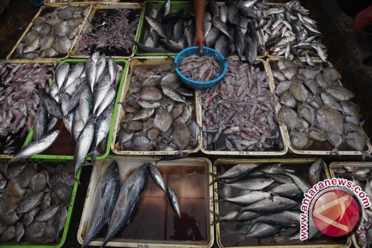 Perum Perindo Kampanyekan Gemar Makan Ikan