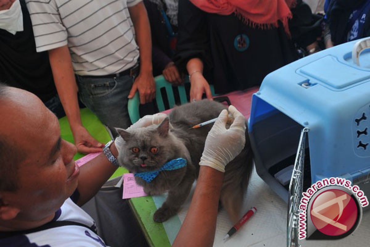 Tabalong targets 2,000 animals for rabies vaccination