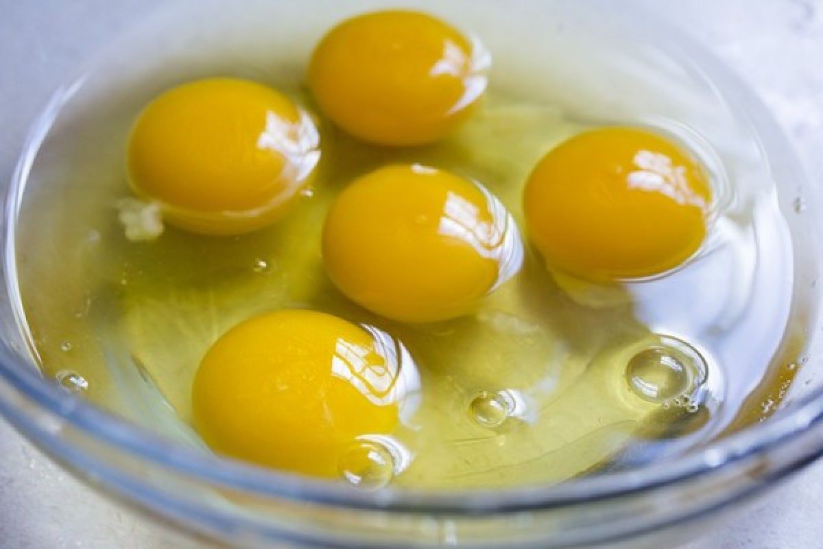 Makan telur bikin bisulan?