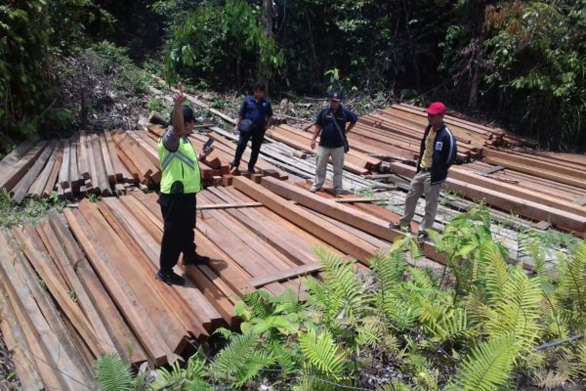 Polisi Barito Utara Amankan Kayu Olahan Ilegal