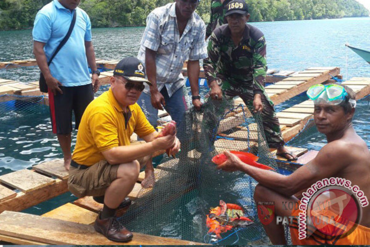 Keramba Teluk Pangdam di Lifumatola Sungguh Menjanjikan