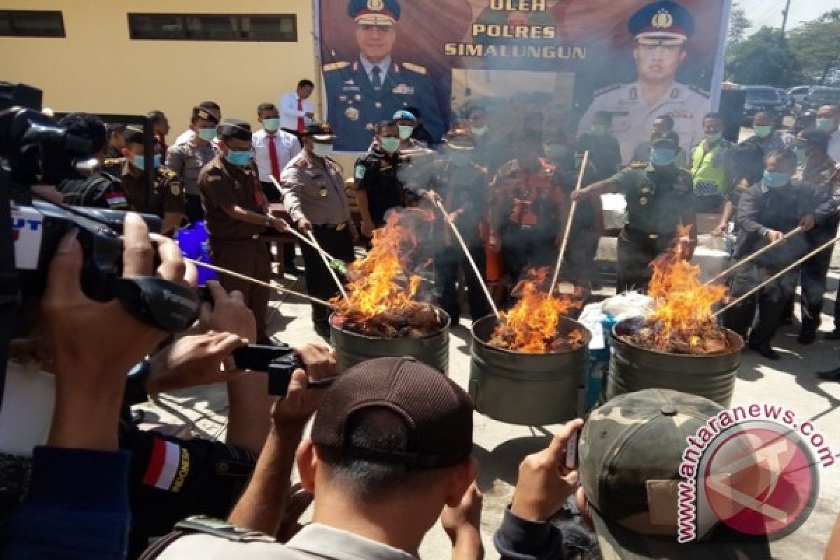 155 Kg Ganja Dimusnahkan Polres Simalungun