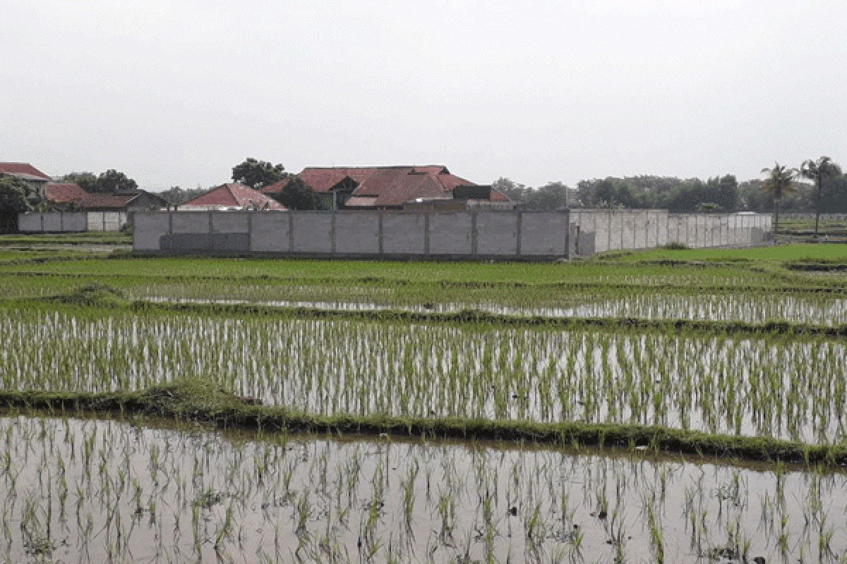 Dampak Konurbasi Jakarta-Bandung, Terjadi Penyusutan Luasan Sawah Besar-besaran Pada 2005-2010