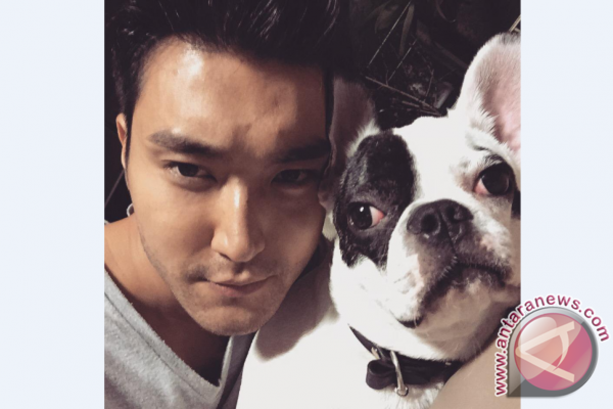Siwon Super Junior minta maaf soal kematian tetangga yang libatkan anjingnya