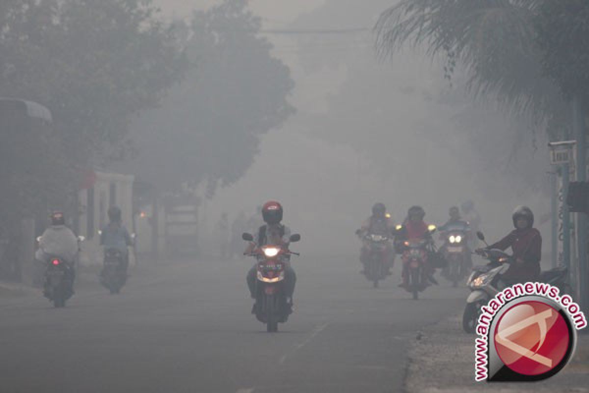 Asap Selimuti Sebagian Aceh Barat