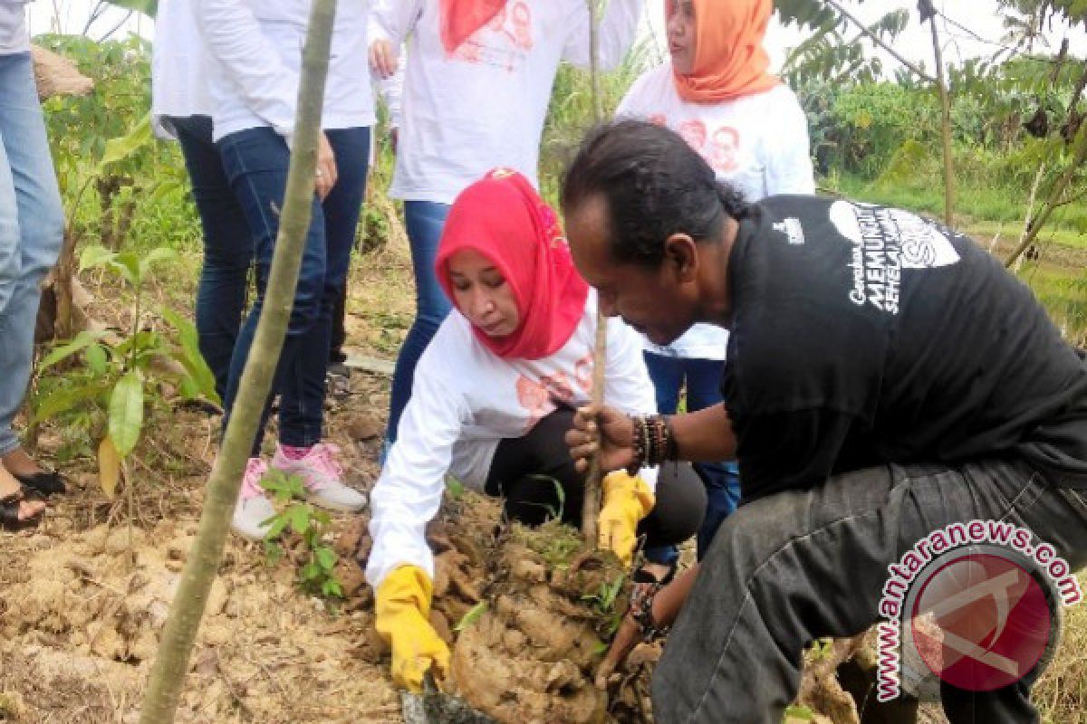 Pemerhati sungai Samarinda berburu bibit pohon khas