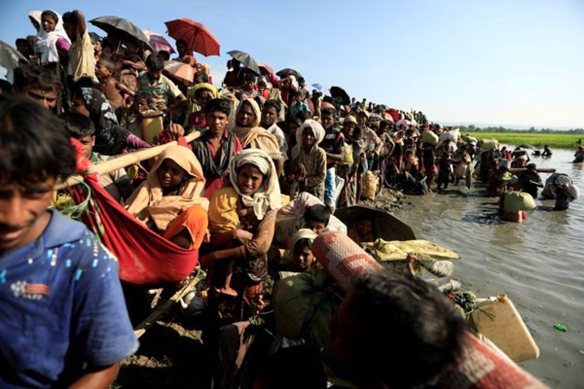 PBB: 604.000 pengungsi Rohingya berlindung di Bangladesh
