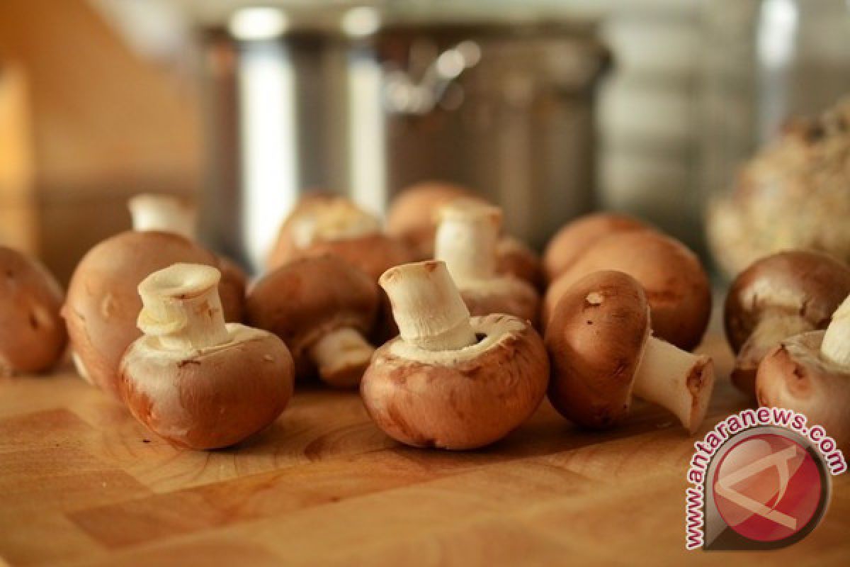 Sarapan jamur bantu hindari konsumsi kalori berlebihan