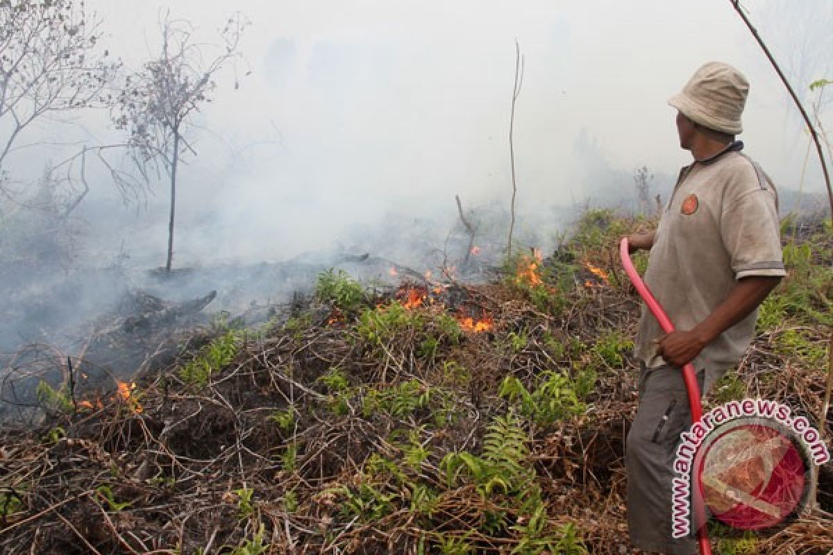 Taman Nasional Matalawa bentuk masyarakat peduli api