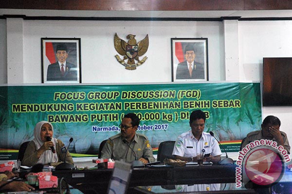 BPTP NTB Siapkan Teknologi Budi Daya Bawang Putih