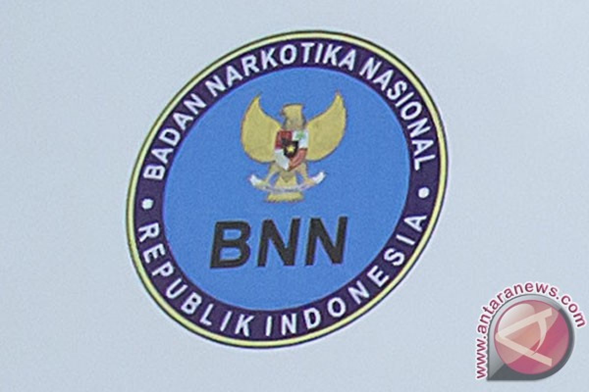 BNN Sulut kembangkan kasus ganja secara hidroponik