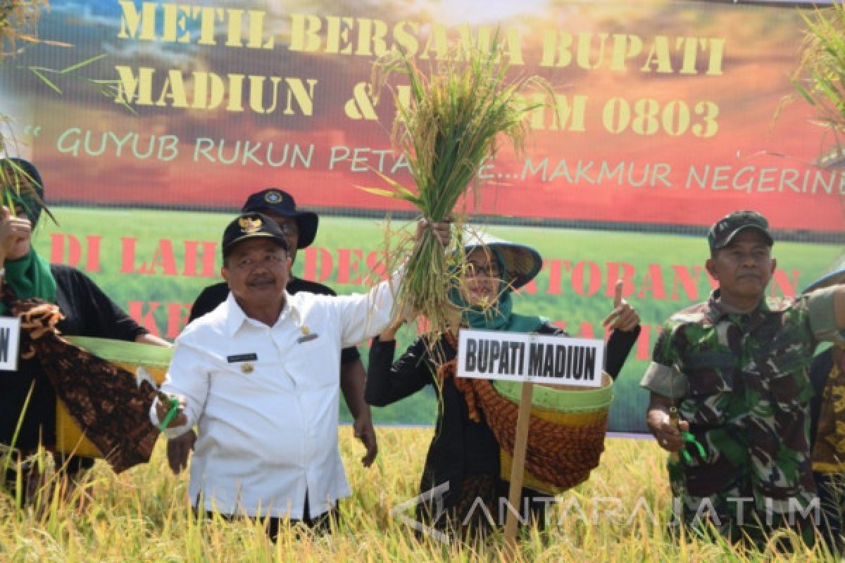 Kabupaten Madiun Pertahankan Predikat Sebagai Lumbung Padi Jatim