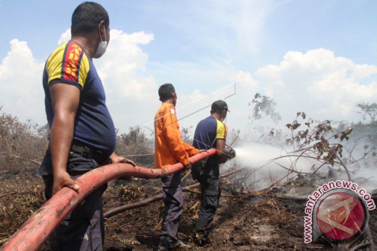 BPBA: Karhutla di Aceh Selatan terkendali