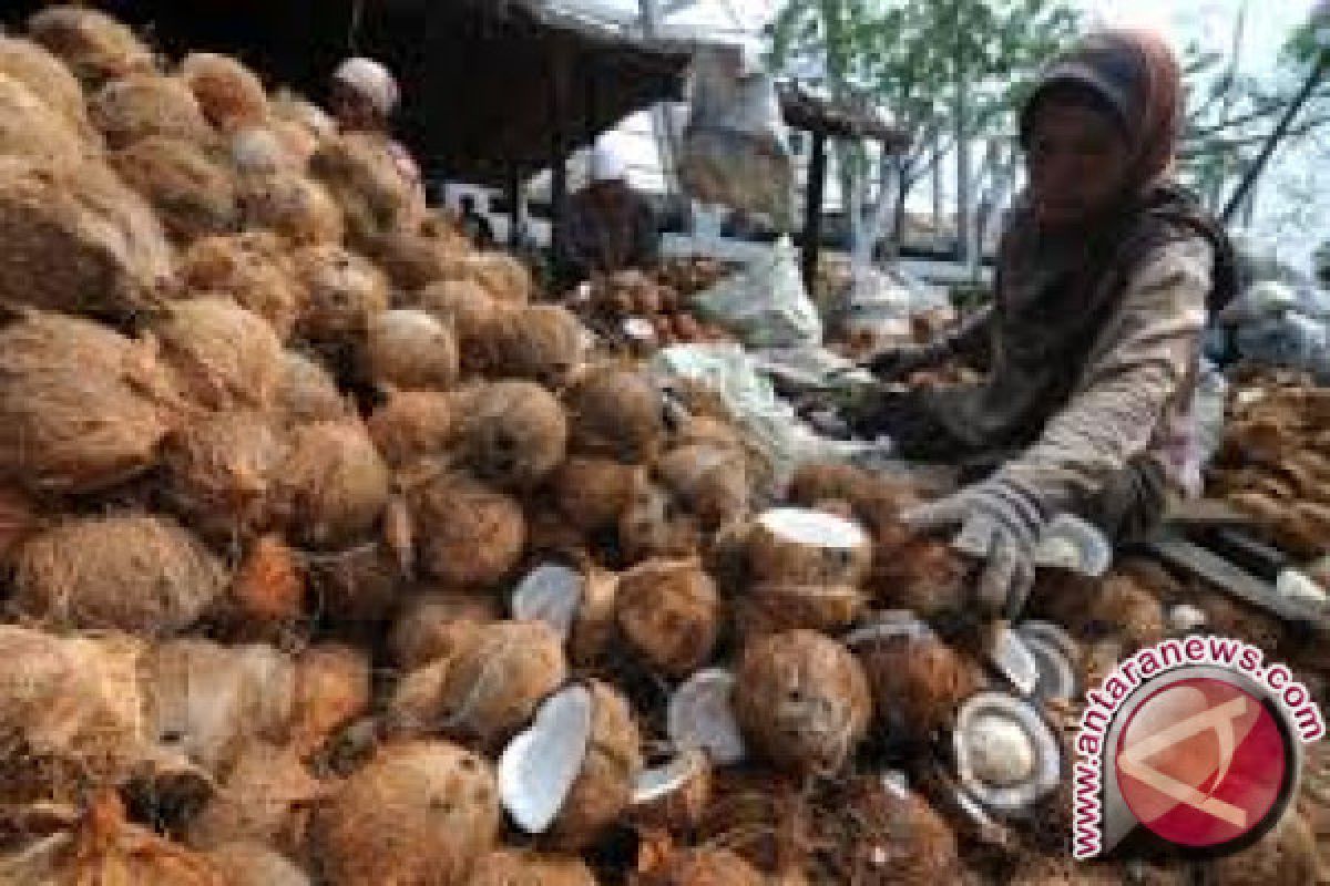 Harga kopra di Parigi Moutong anjlok