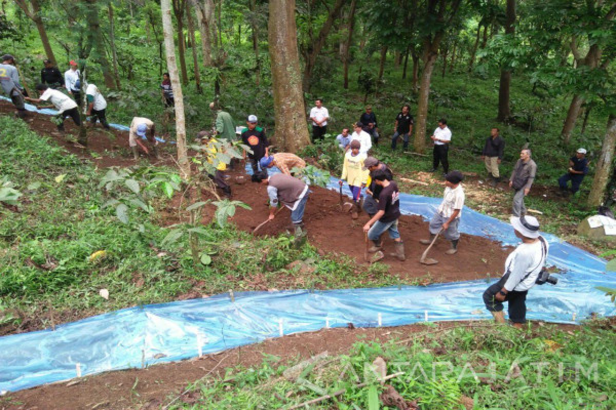 Jember Antisipasi Longsor di Perkebunan Kalijompo 