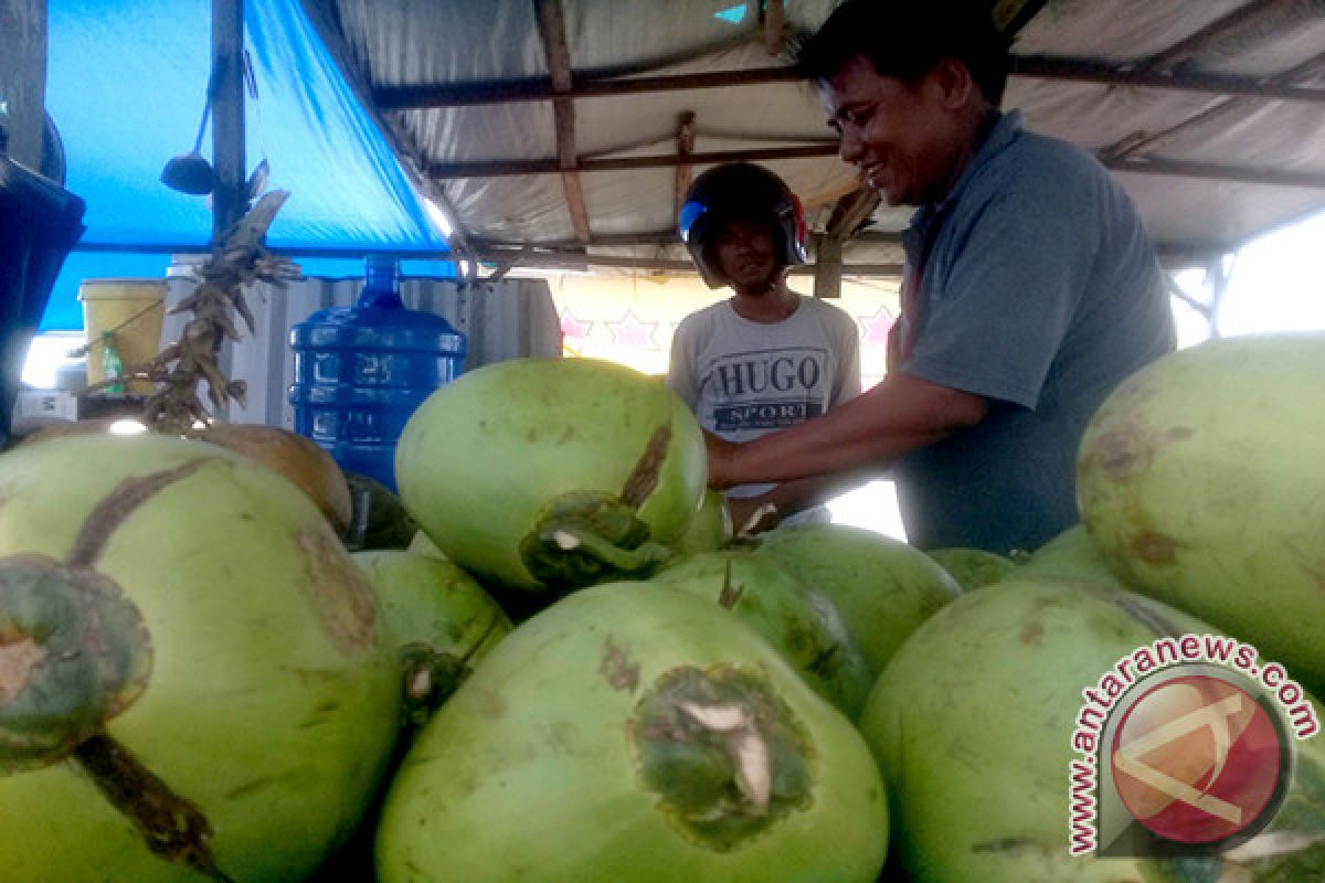 Ramadhan, berkah bagi penjual kelapa muda di Dharmasraya