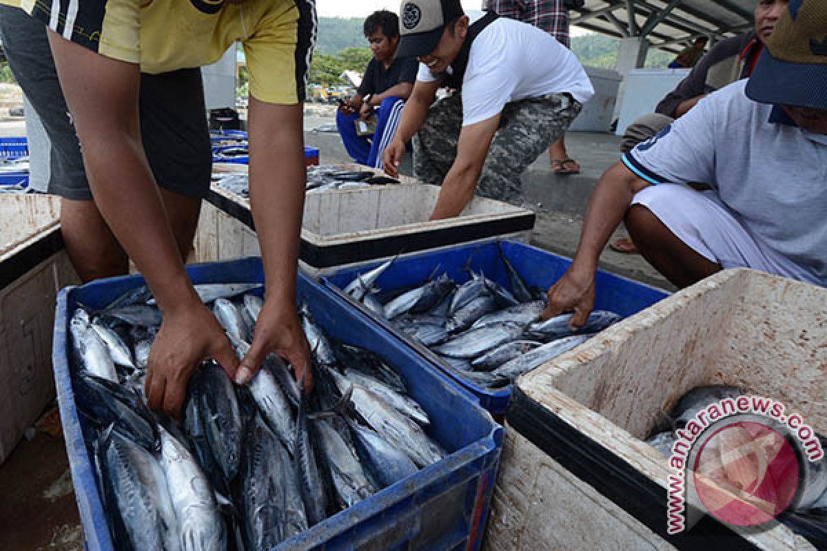 TANGKAPAN IKAN MENURUN