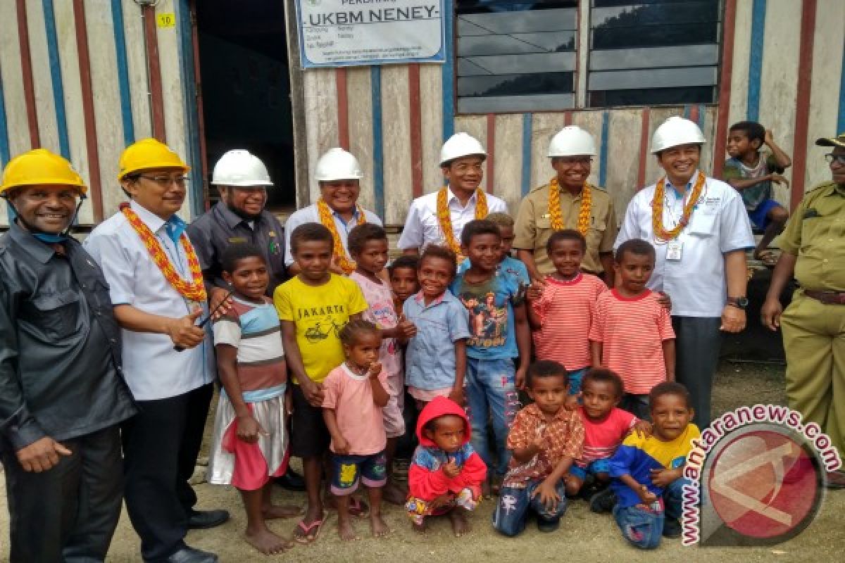 101 desa baru di Papua-Papua Barat teraliri listrik