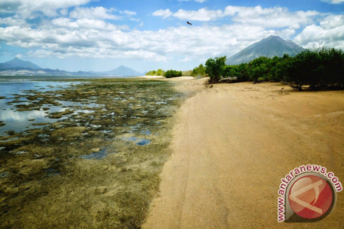 Menikmati pesona senja di Pantai Lewobuto Pulau Adonara