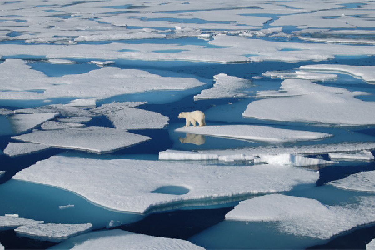 Studi : Es Laut Arktik Menipis Lebih Cepat