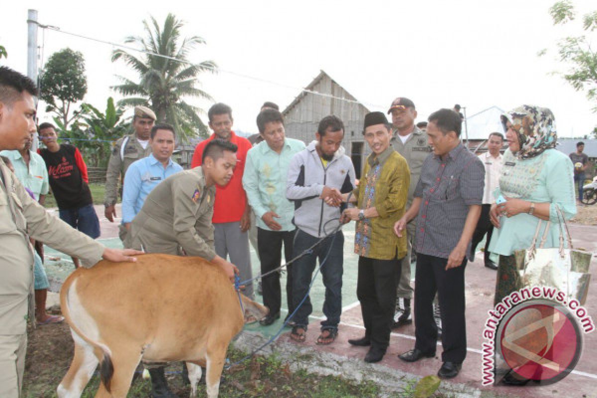 Pemkab Menyerahkan Bantuan Sapi Kepada Warga Miskin 