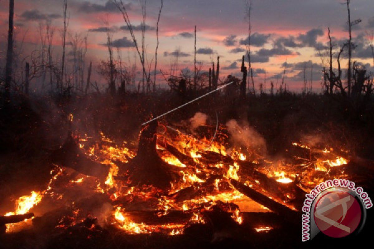 Ilalang Terbakar di Lahan Kosong Lhokseumawe Aceh
