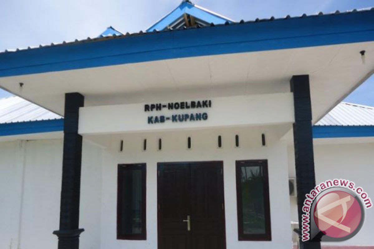 RPH Kupang Segera Beroperasi 