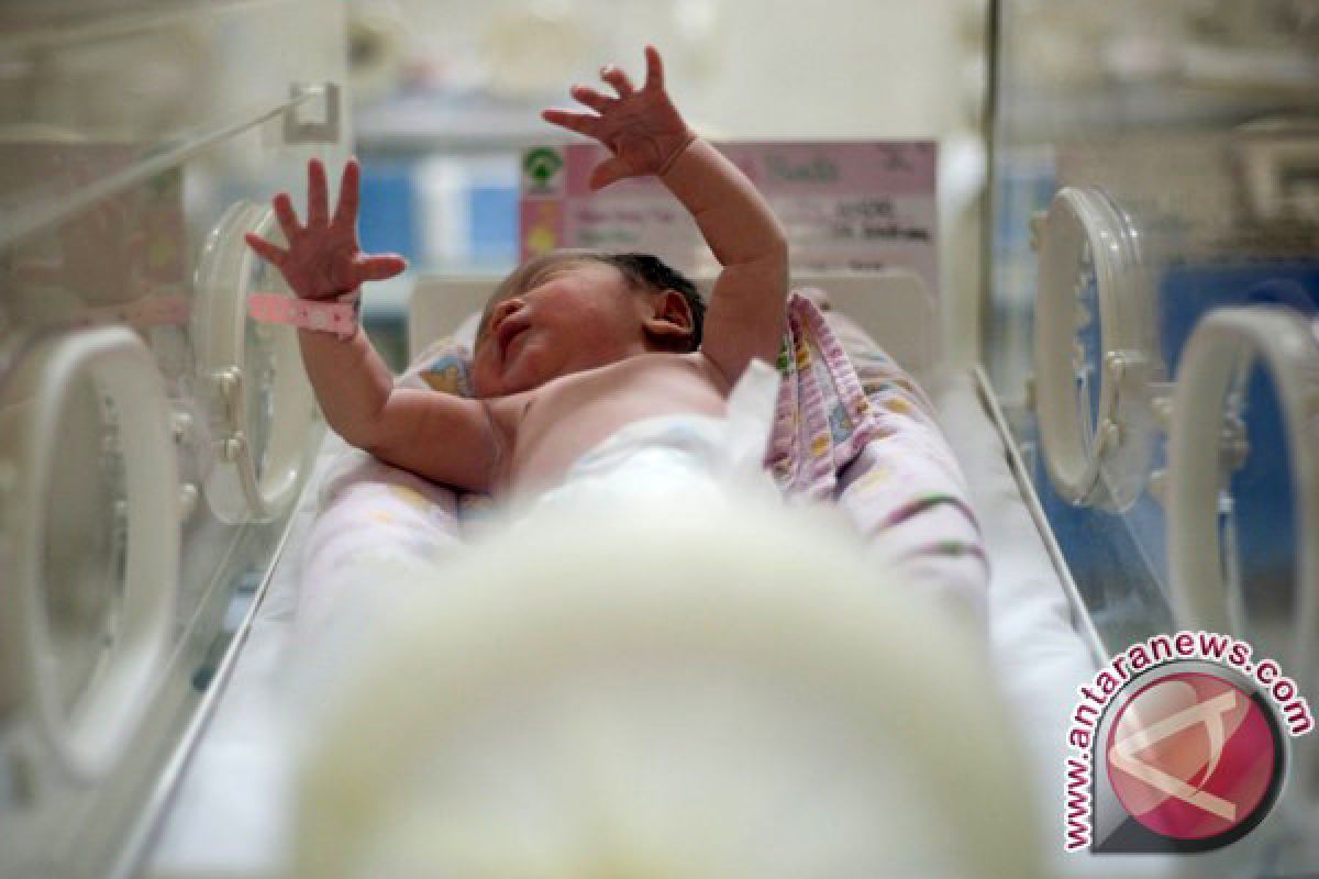  Pakar: Bayi Prematur Harus Dicek Potensi Kebutaan