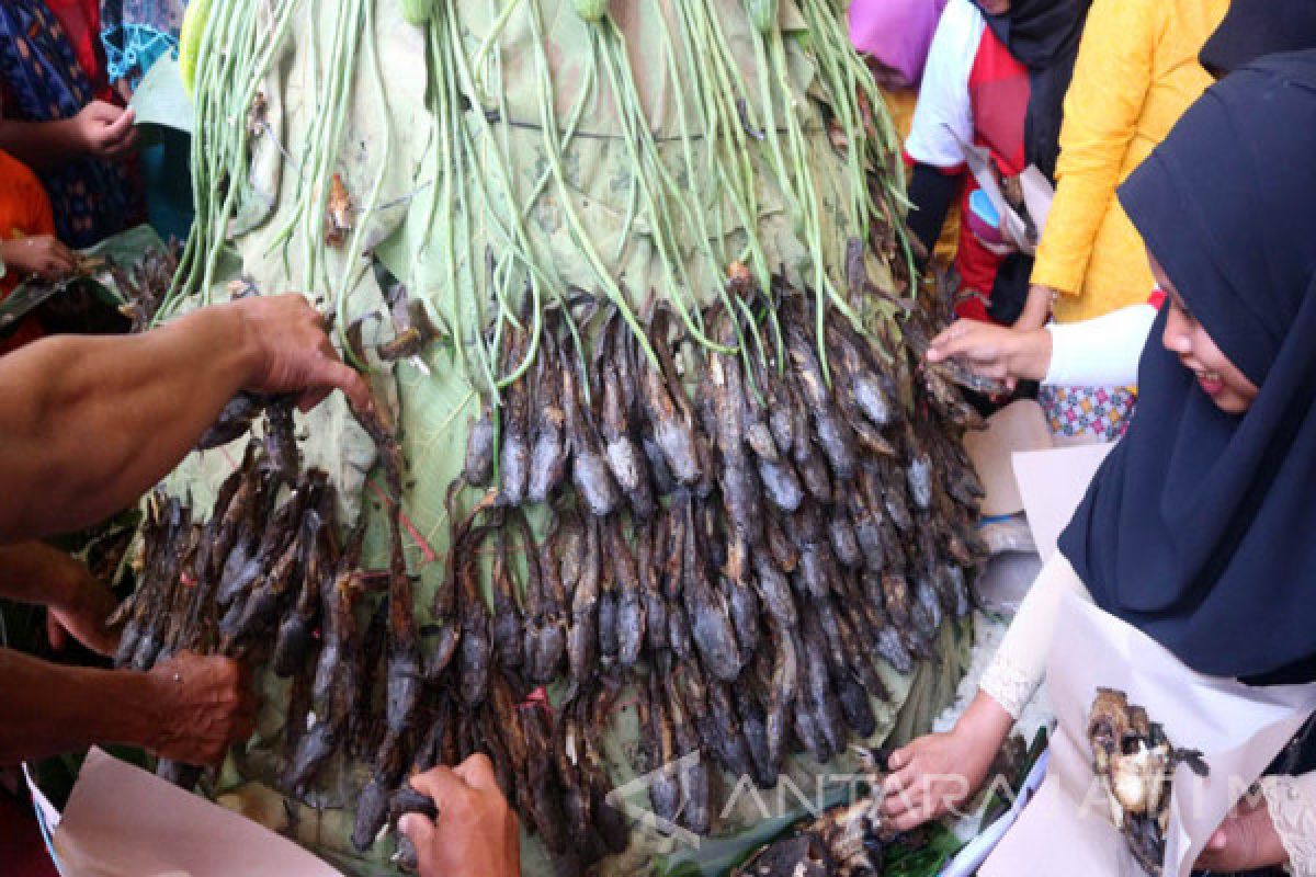 Pengembangan Ternak Lele di Bojonegoro Masih Terbuka (Video)