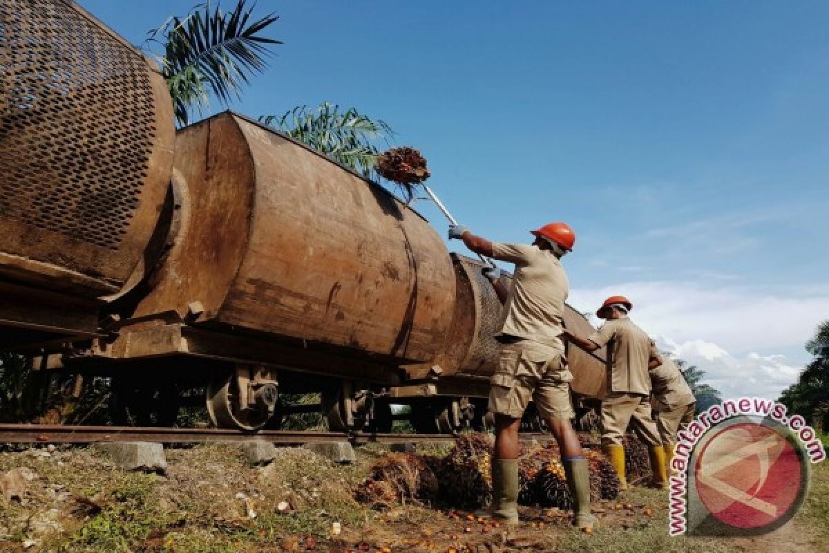 PTPN IV Raih Laba Bersih Rp 525,129