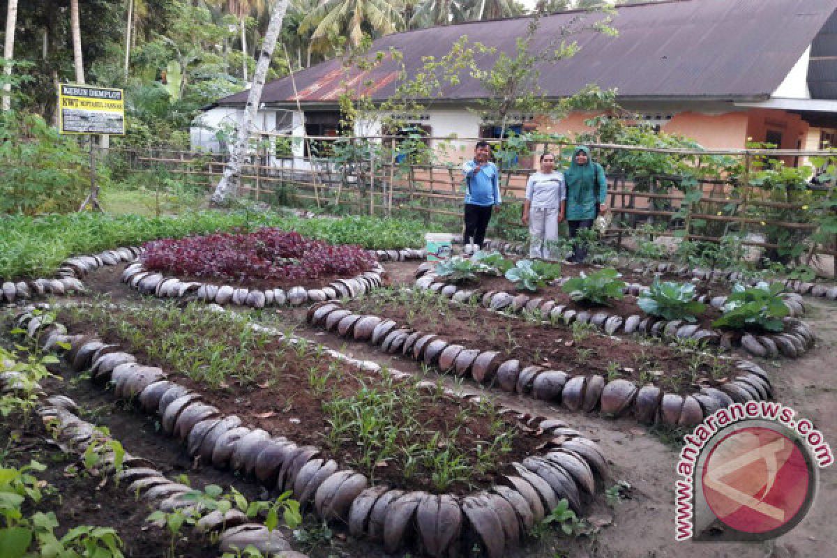 Kelompok Rumah Pangan Lestari Jadi Harapan Cukupi Gizi Masyarakat