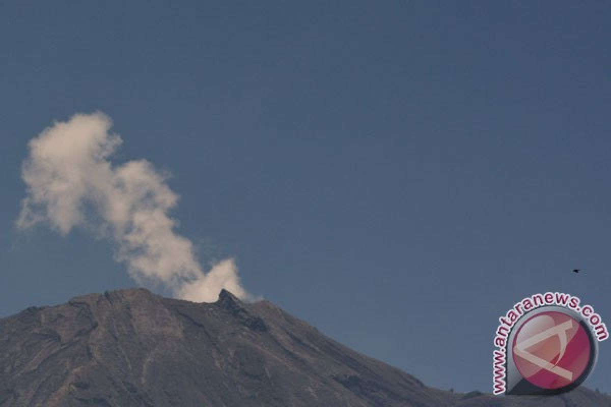 Media India menyoroti status Gunung Agung